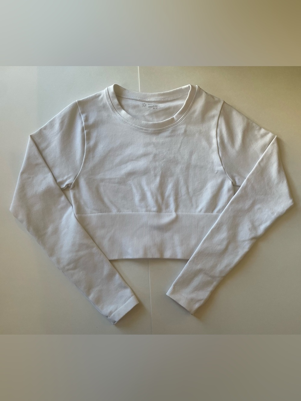 Aerie White Rib-Band Crewneck Long Sleeve Atheltic Pilates Yoga Cropped Top